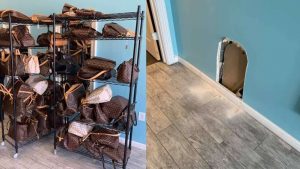 Roban más de $80,000 en bolsas Louis Vuitton en Pearland 5 AAG4WCt