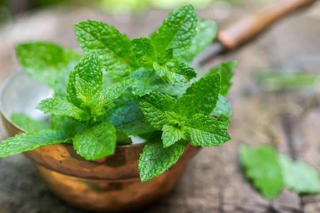 Remedios caseros para los intestinos inflamados 11 AAAiujR