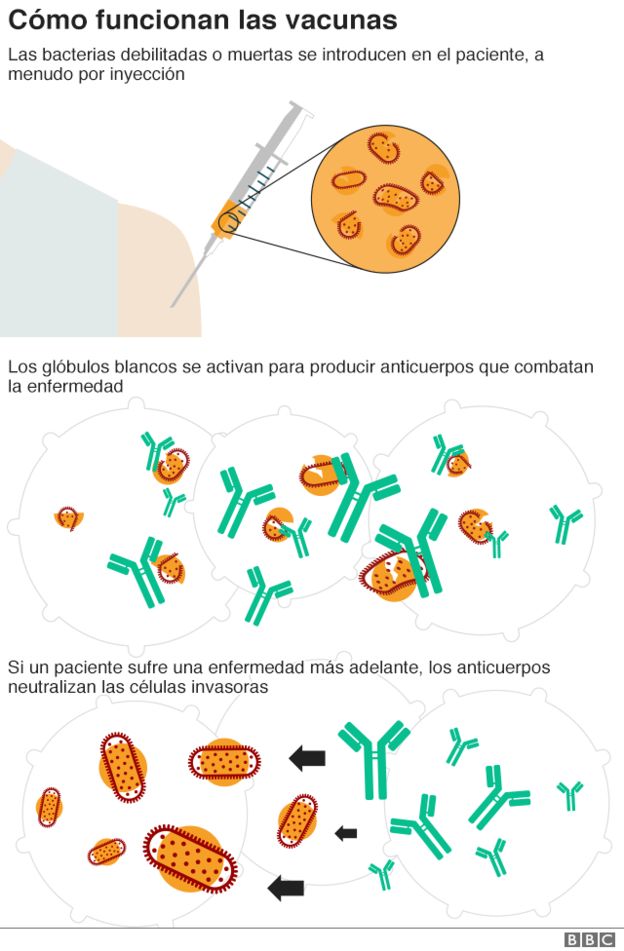 Coronavirus: La diferencia entre pandemia, epidemia 10 107434117 cmofuncionanlasvacunas