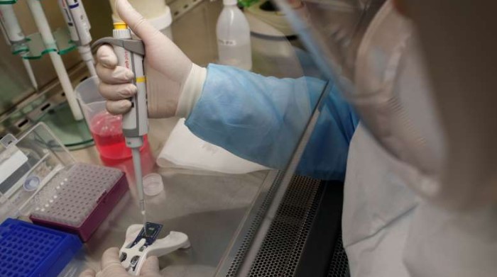 Canadá lograr aislar al patógeno, coronavirus 11 Screenshot 5 4