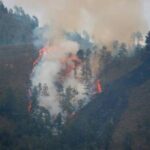 Constanza se reportan otro incendio forestal 6 Screenshot 17