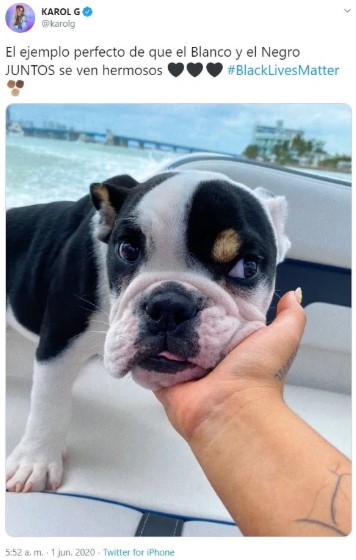 Karol G es criticada por comparar a su perro 5 Screenshot 5 3