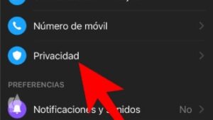 Cómo bloquear Facebook Messenger con tu cara o huella dactilar 11 Screenshot 5 12