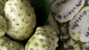 El noni vuelve a hacer tendencia en consumo y su rico beneficio 5 Screenshot 3 8