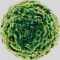 ¿Qué es el norovirus, el nuevo virus que amenaza desde China? 6 16070709250322