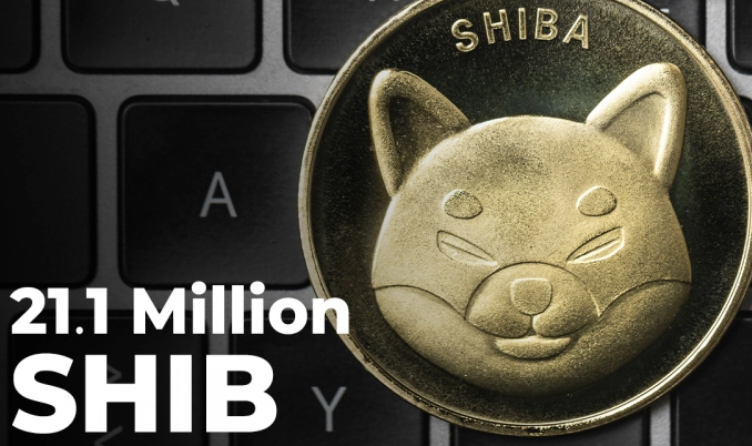 SHIB INU Lanzan nuevo sitio web para ver los token quemado